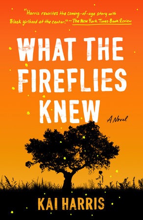 What the Fireflies Knew book cover