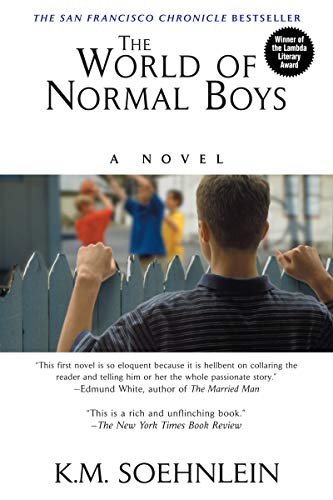 The World of Normal Boys book cover