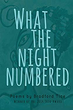 What the Night Numbered book cover
