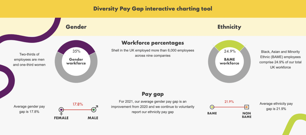 Diversity Pay Gap interactive charting tool