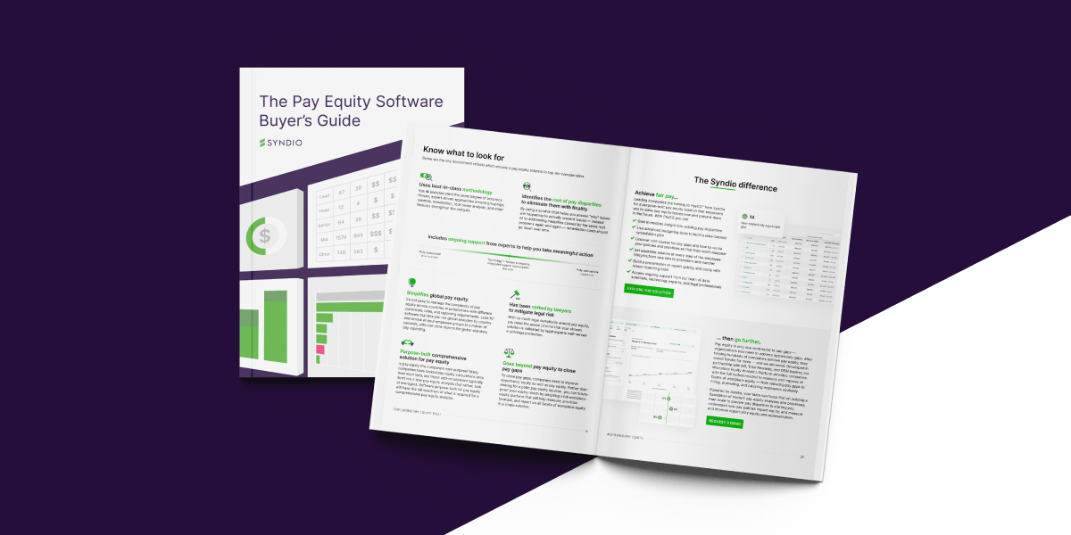The Pay Equity Software Buyers Guide