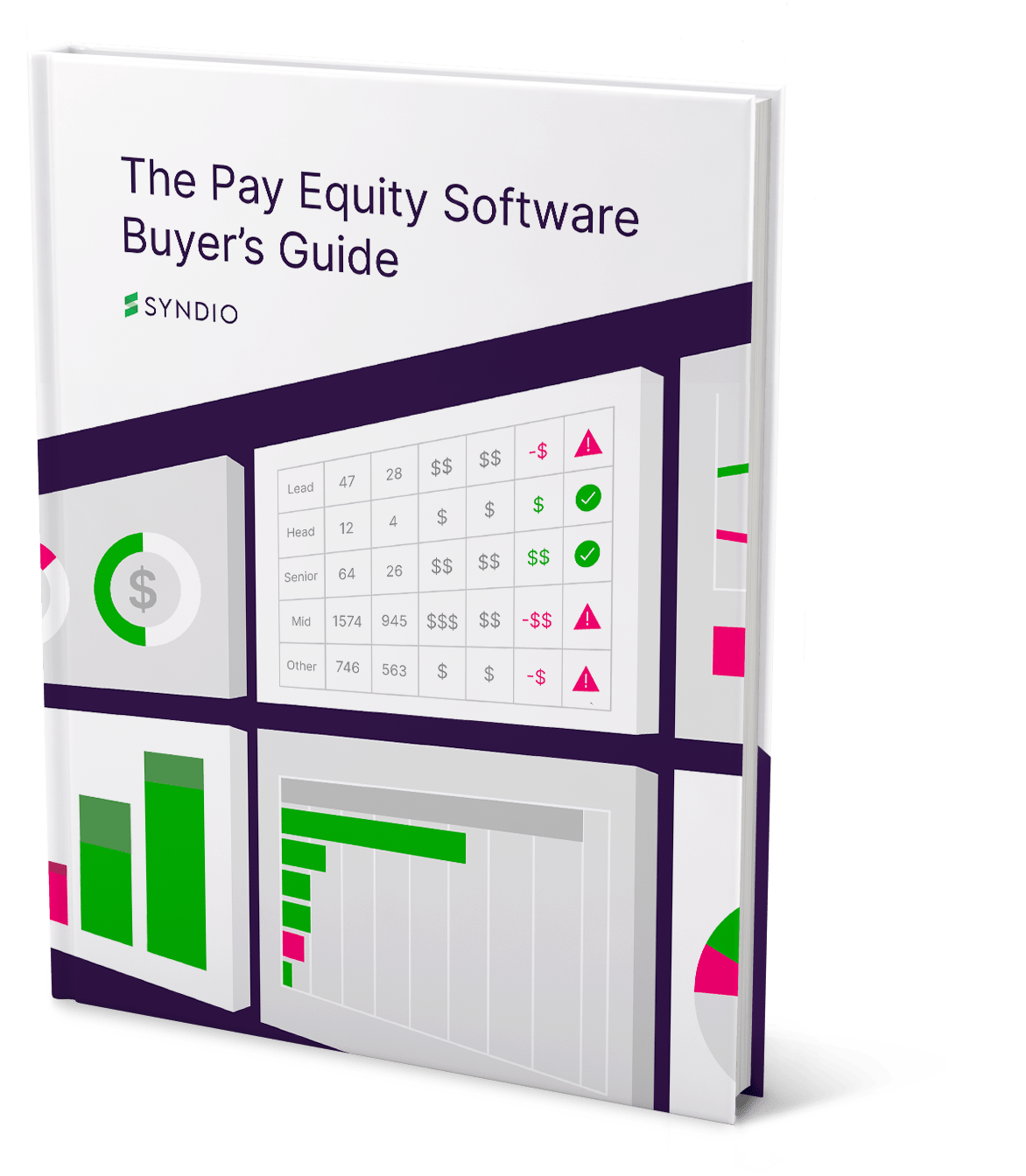 The Pay Equity Software Buyers Guide Mockup