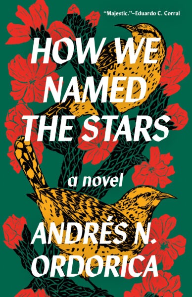 How We Named the Stars book cover