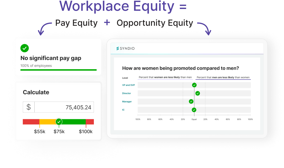 Pay Equity and Opportunity Equity