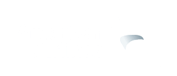 American Airlines