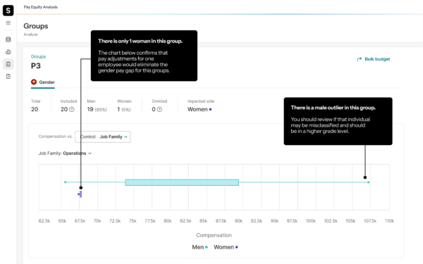 Essentials product screenshot with example showing there is only one woman in the category. The apparent gap is heavily influenced by a single high-paid male outlier.
