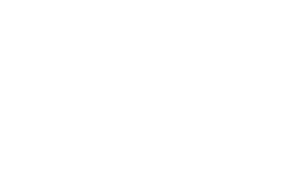 HESS white logo