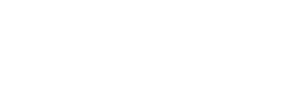 Northern trust white logo