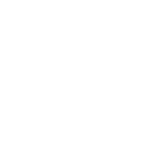 Volvo White Logo